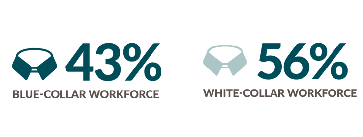 Blue Collar Workforce 43 percent. White collar workforce 56 percent.