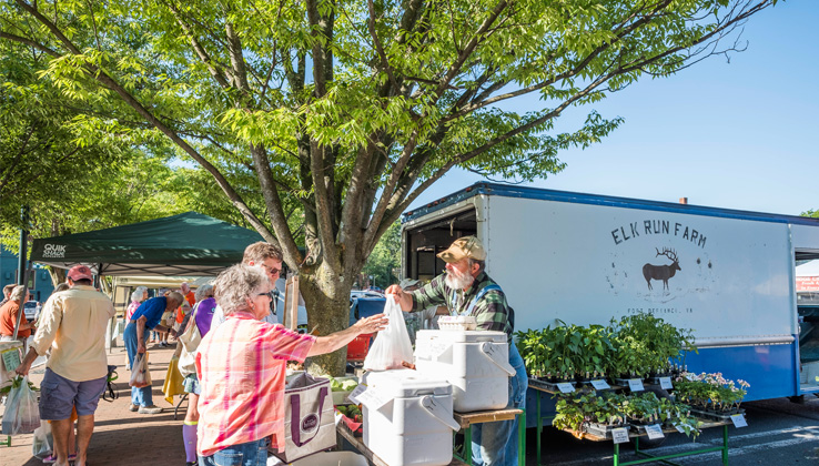 farm market 2
