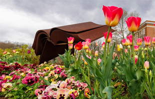 library book sculpture surrounded by spring flowers