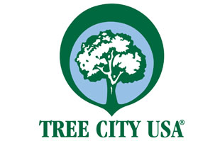 tree city logo_news