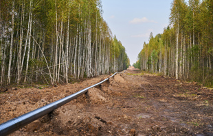 pipeline in forest