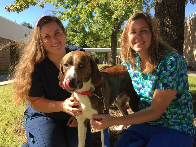 BRCC vet tech students Lydia Poland and Sydnee Baker pose with a dog on campus