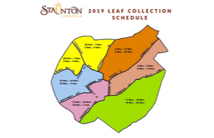 Leaf Collection 2019