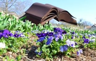 News_LibrarySpring