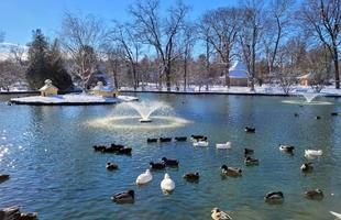 Gypsy Hill Park duck pond with ducks, fountain and snow on land around pond