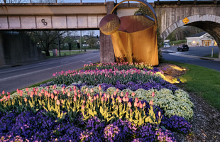 The watering can and garden at the underpass now has new lighting thanks to a donation