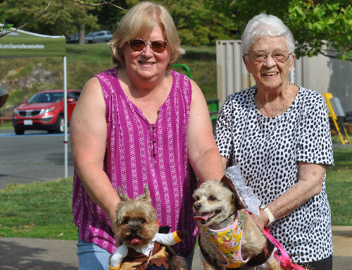 bark park day