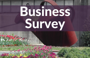 Business Survey