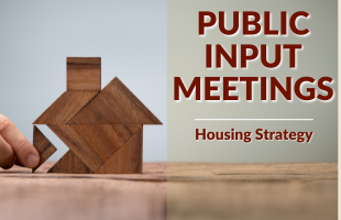 Public Input Housing Strategy