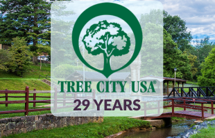 Tree City USA