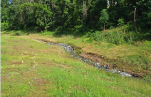 Cole Ave Stream Channel Restoration