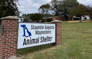 Animal Shelter Ribbon Cutting (3)
